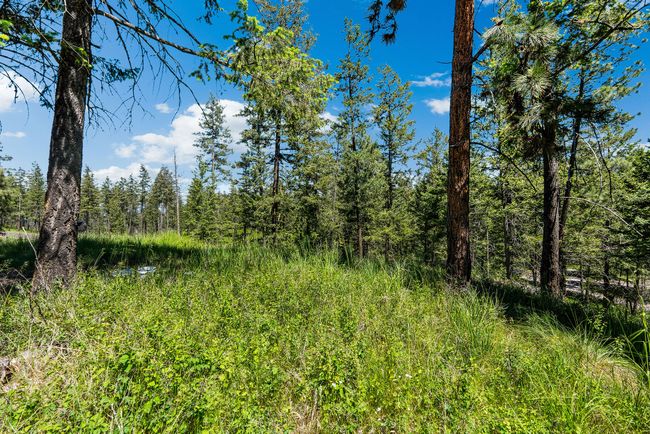 394 Windsor Ct, Home with 0 bedrooms, 0 bathrooms and null parking in Bigfork MT | Image 5
