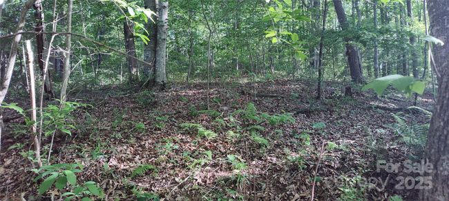 potential homesite above and behind current home | Image 39