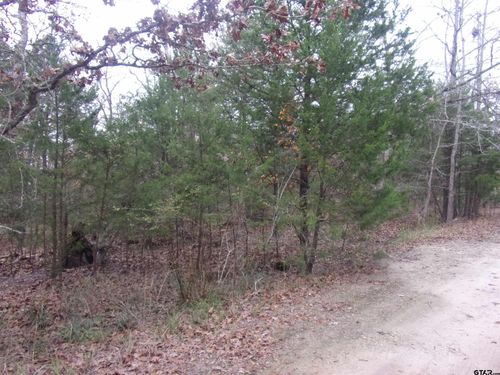 000 Hideaway, Murchison, TX, 75778 | Card Image