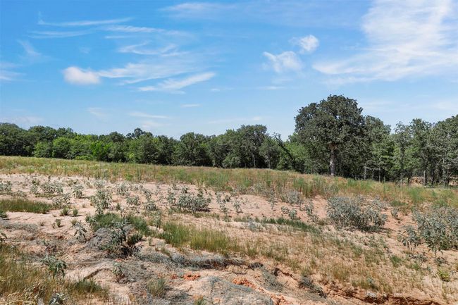 0000 Ranch View Pl, Home with 0 bedrooms, 0 bathrooms and null parking in Springtown TX | Image 13