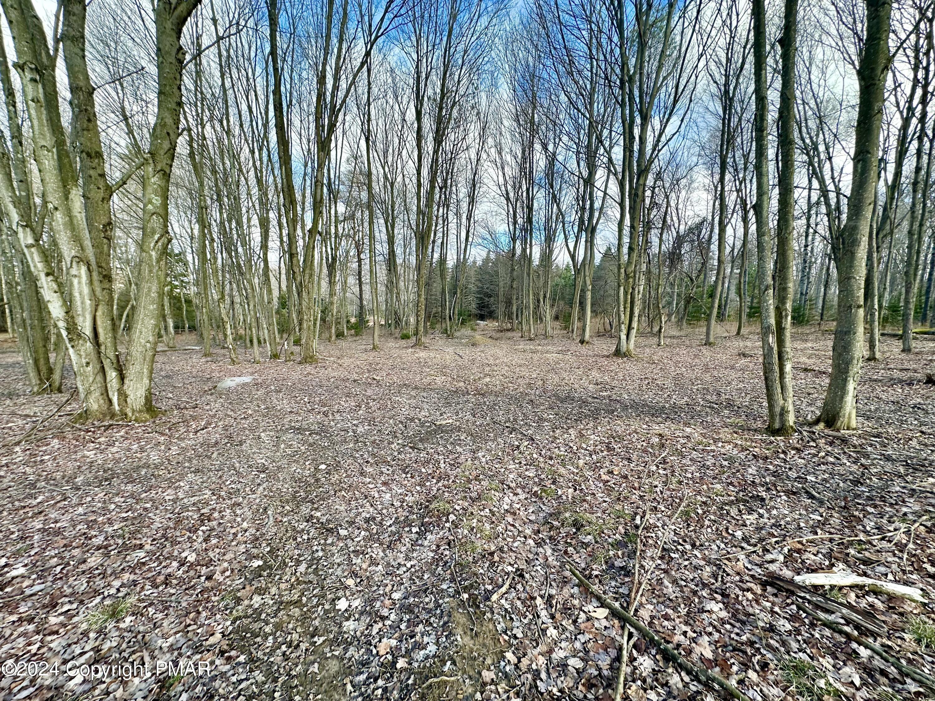 Land in Gouldsboro 3