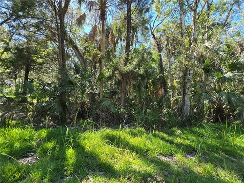 10919 W London Ln, Homosassa, FL, 34448-5049 | Card Image