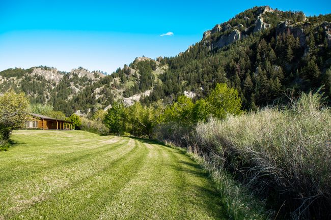 View of grassy yard featuring a mountain view and a view of trees | Image 10