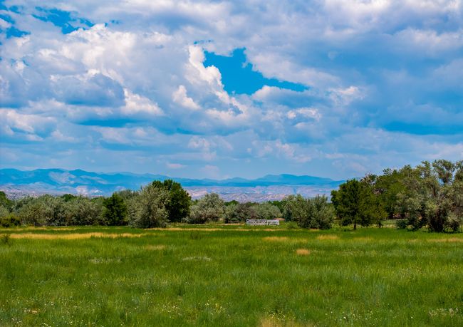 7 Sparkling Moolah, Home with 0 bedrooms, 0 bathrooms and null parking in Pena Blanca NM | Image 14
