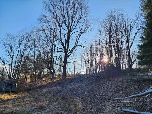 169 Wilma Lee Memorial Dr, Bowden, WV, 26254-6758 | Card Image