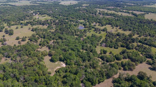 9832 Hawaii Ln, Home with 2 bedrooms, 1 bathrooms and null parking in Midway TX | Image 41