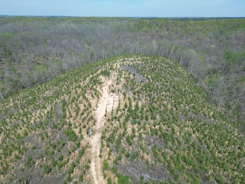 0D Waynesboro Hwy, Waynesboro, TN, 38485 | Card Image