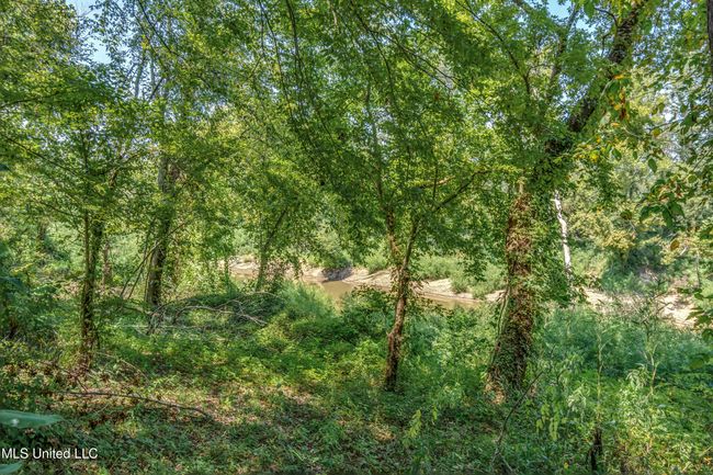 20500 Old Hy 80 Lot 19-6 | Image 38
