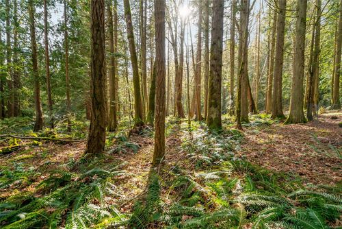 29 Prospect Dr, Cassidy, BC, V0R2E0 | Card Image