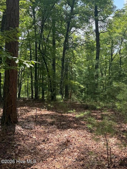 Lot #46 Pine Cove Ln, Murphy, NC, 28906 | Card Image