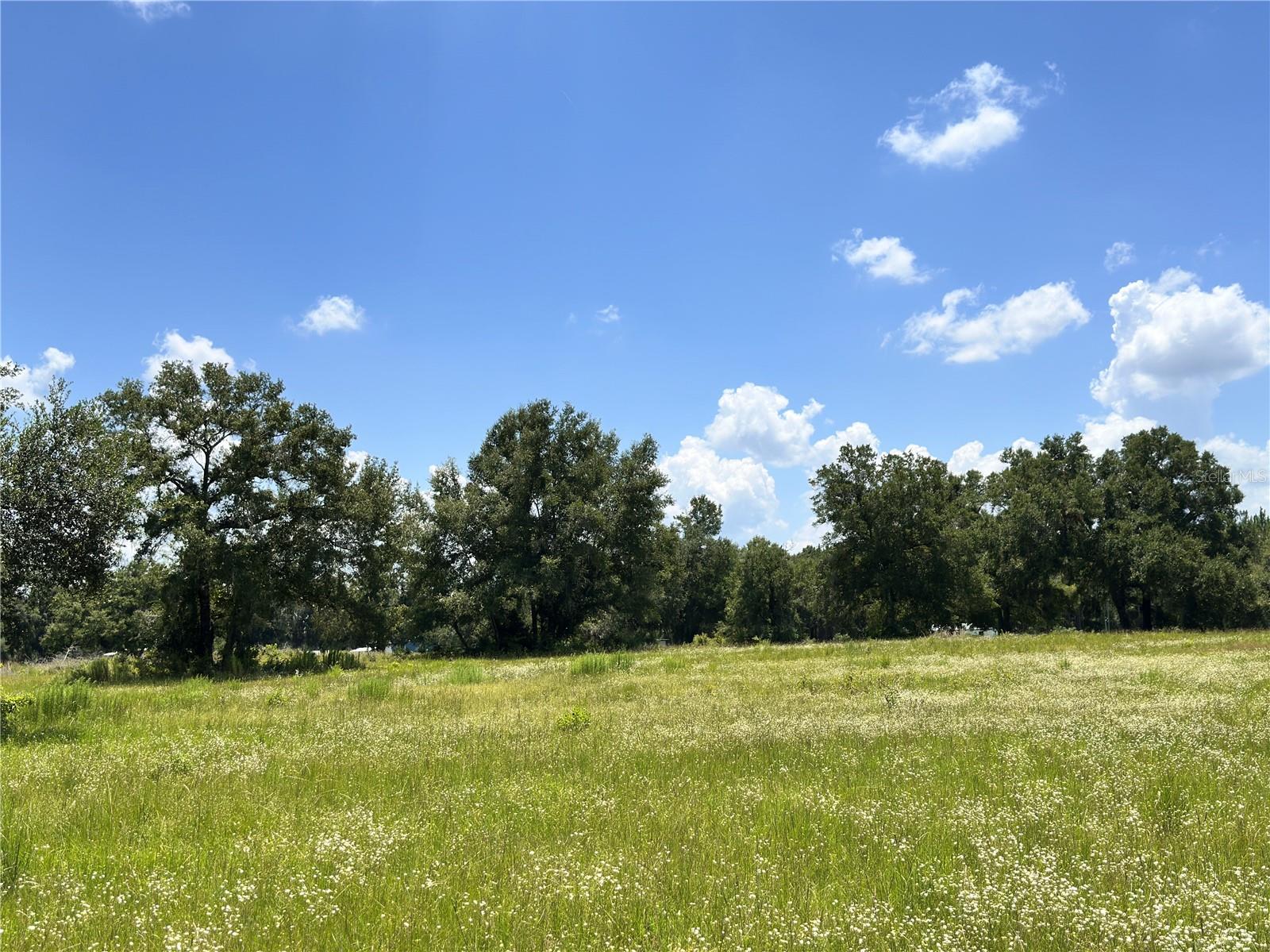 Residential in FORT WHITE 3