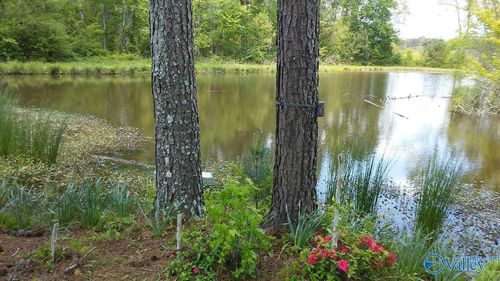 193AC County Road 1069, Vinemont, AL, 35179-4502 | Card Image
