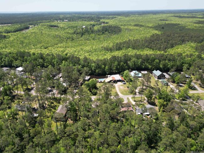 31531 River Pines Dr, Home with 0 bedrooms, 0 bathrooms and null parking in Springfield LA | Image 21