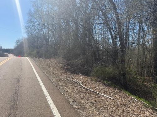 TRACT 7 Hwy 22a Hwy, Jacks Creek, TN, 38347 | Card Image