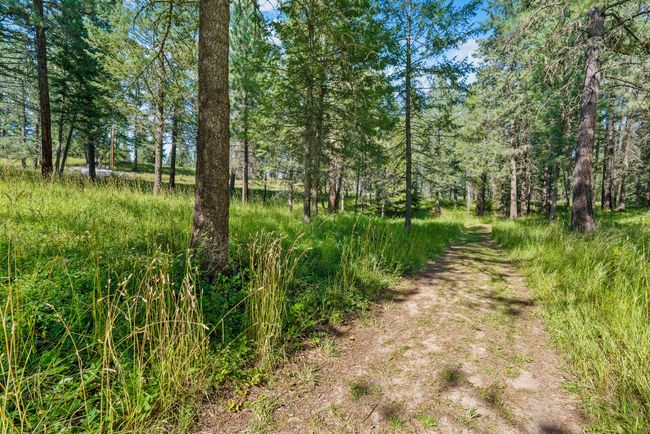 Road to guest house | Image 52