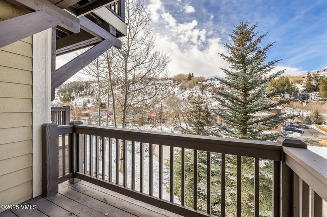 107 Lions Ln, Townhouse with 3 bedrooms, 4 bathrooms and 3 parking in Minturn CO | Image 33
