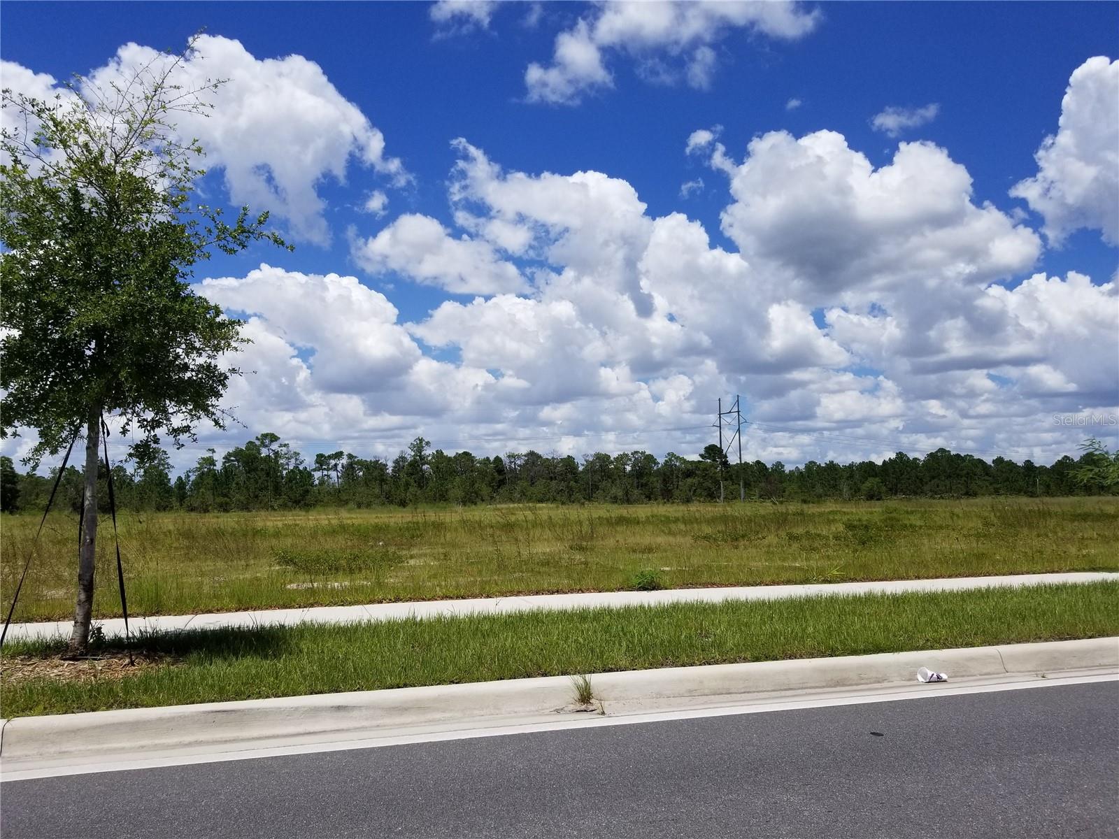 Land in ORLANDO 2
