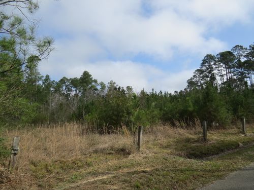 6046 1st St, Bay Saint Louis, MS, 39520-9572 | Card Image