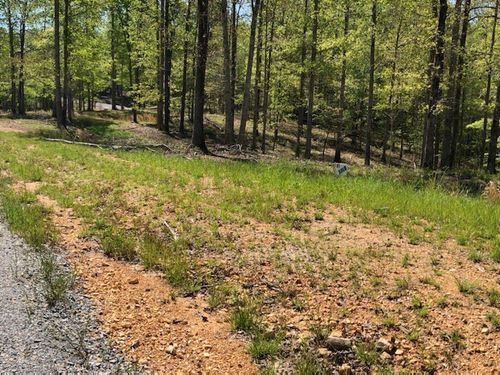 81 The Woodlands Of Nashville, Mc Ewen, TN, 37101 | Card Image