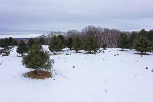 Lot 1 Spirit Lake Access Rd, Frederic, WI, 54837 | Card Image