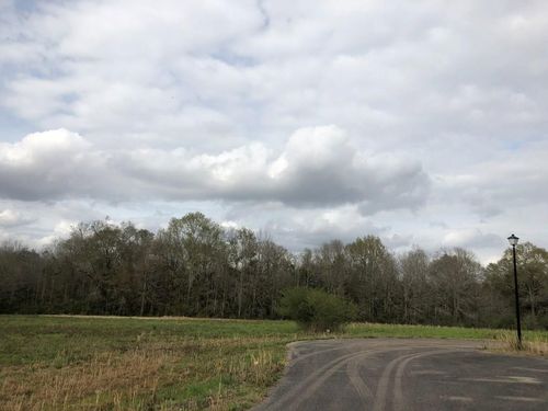 NHN Theodore Dr, Poplarville, MS, 39470 | Card Image