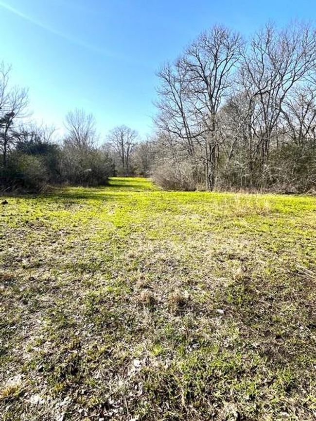 9870 N Leona Blvd, Home with 3 bedrooms, 2 bathrooms and null parking in Leona TX | Image 18