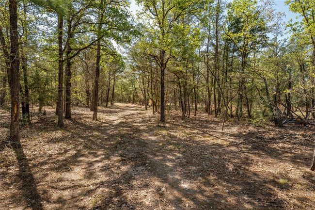 5611 S Us Highway 77, Home with 0 bedrooms, 0 bathrooms and null parking in Warda TX | Image 17