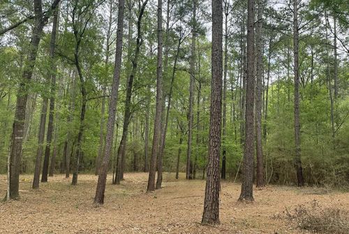Lot 2&3 Remington Rd, Huntsville, TX, 77340 | Card Image