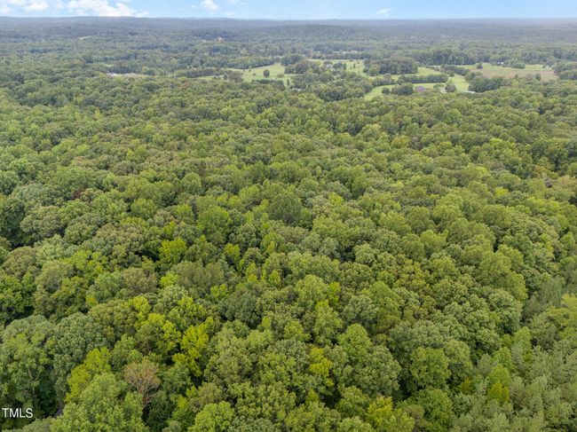 002_dji_20240724085255_0079_d-edit | Image 4