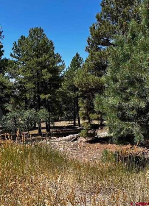 124 Woodridge Cir, Pagosa Springs, CO, 81147-8672 | Card Image