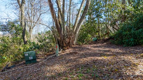 6 Norton Rd, Cashiers, NC, 28717 | Card Image
