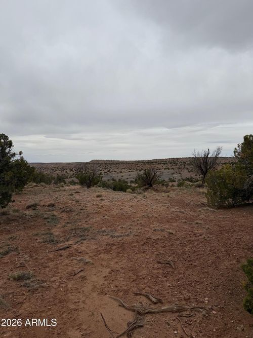 20245008-n6124 N N6124 --, St Johns, AZ, 85936 | Card Image