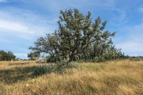 2250 Buck Ridge Dr, Melvin, TX, 76858-2220 | Card Image