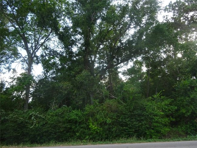 0 Calhoun Rd, Home with 0 bedrooms, 0 bathrooms and null parking in Conroe TX | Image 4
