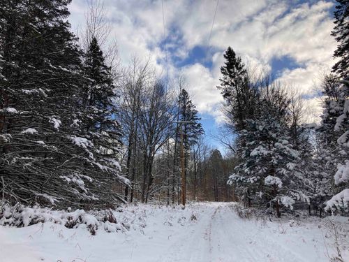 VL W Woodland Drive, Richland Township, MI, 49601 | Card Image