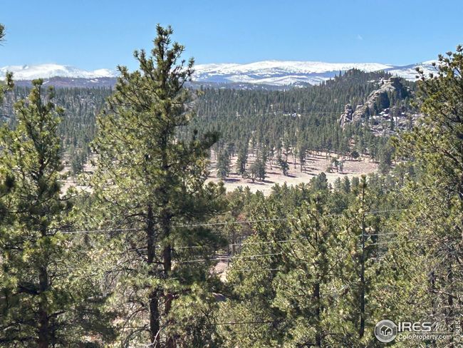 295 Piney Knolls Dr, Home with 0 bedrooms, 0 bathrooms and null parking in Red Feather Lakes CO | Image 6