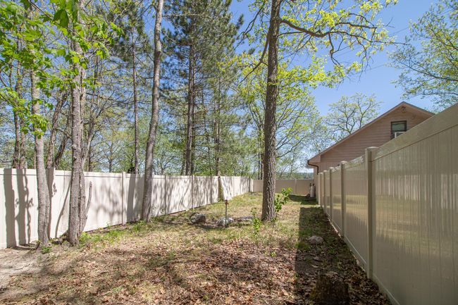 Fence for the Dogs | Image 23