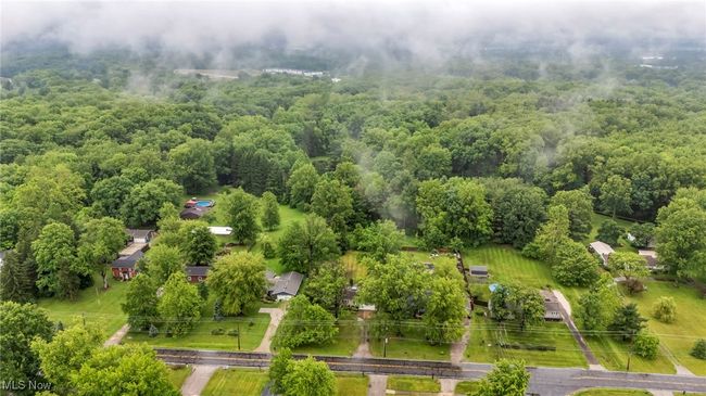 Bird's eye view of a forest | Image 44
