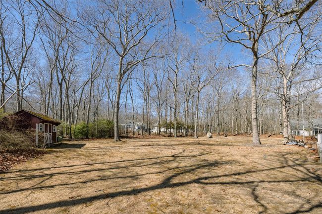 View of yard | Image 36