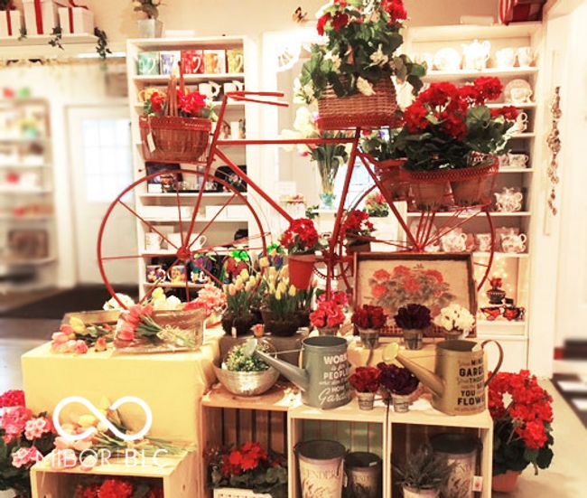 Cafe Gift Shop | Image 65