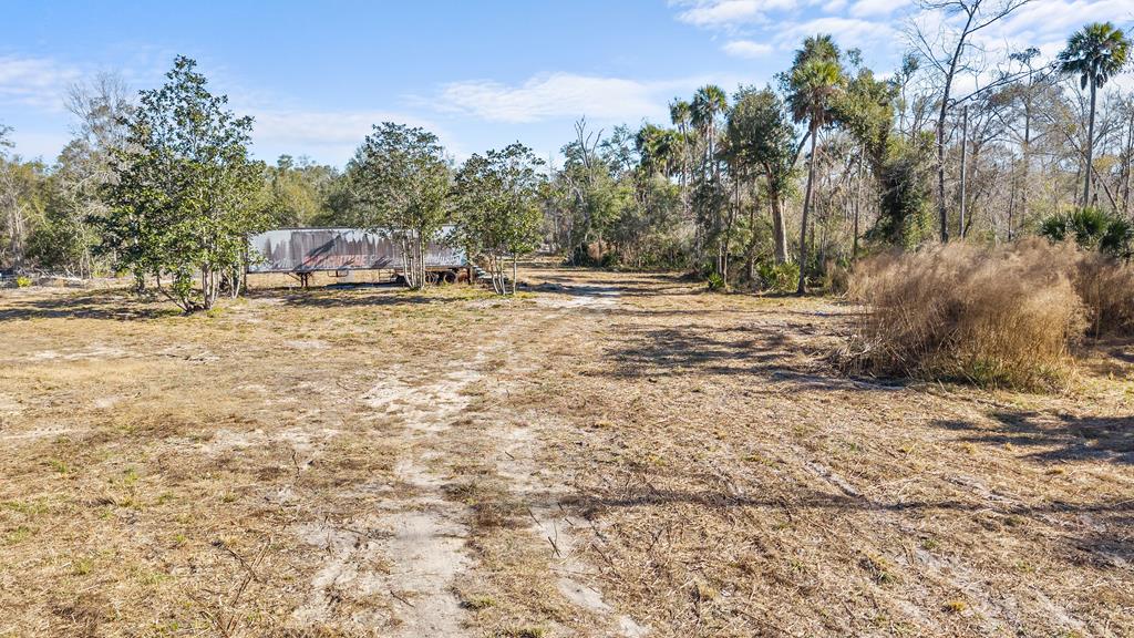 Land in Steinhatchee