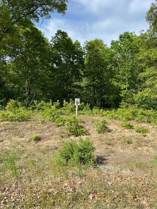 Lot 9 Renaissance Dr, Manistee, MI, 49660 | Card Image