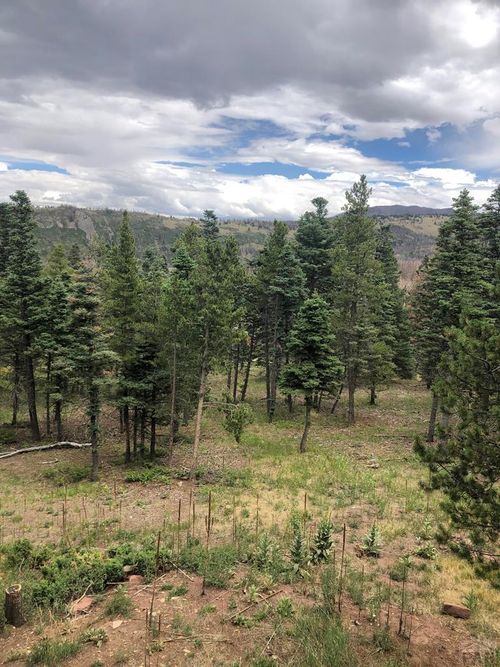 TBD Houchin Blvd, La Veta, CO, 81055 | Card Image