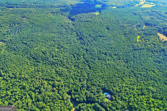 198.62+/- ACRES Apalachee Woods Trl, Home with 0 bedrooms, 0 bathrooms and null parking in Buckhead GA | Image 17