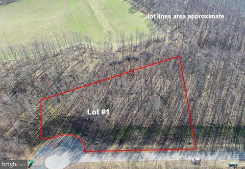 1 Sweet Rewards Farm Rd, MC HENRY, MD, 21541 | Card Image