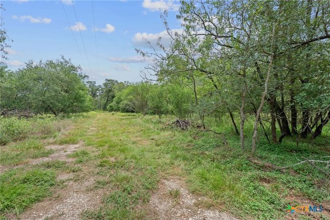 3597 Baker Rd, Home with 0 bedrooms, 0 bathrooms and null parking in Kingsbury TX | Image 30