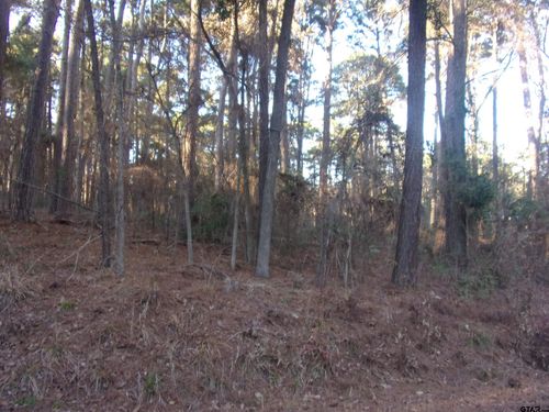 tbd Lake Side Dr, Flint, TX, 75762 | Card Image