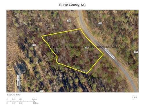 146-2115 Castle Peak Mtn, Connelly Springs, NC, 28612 | Card Image