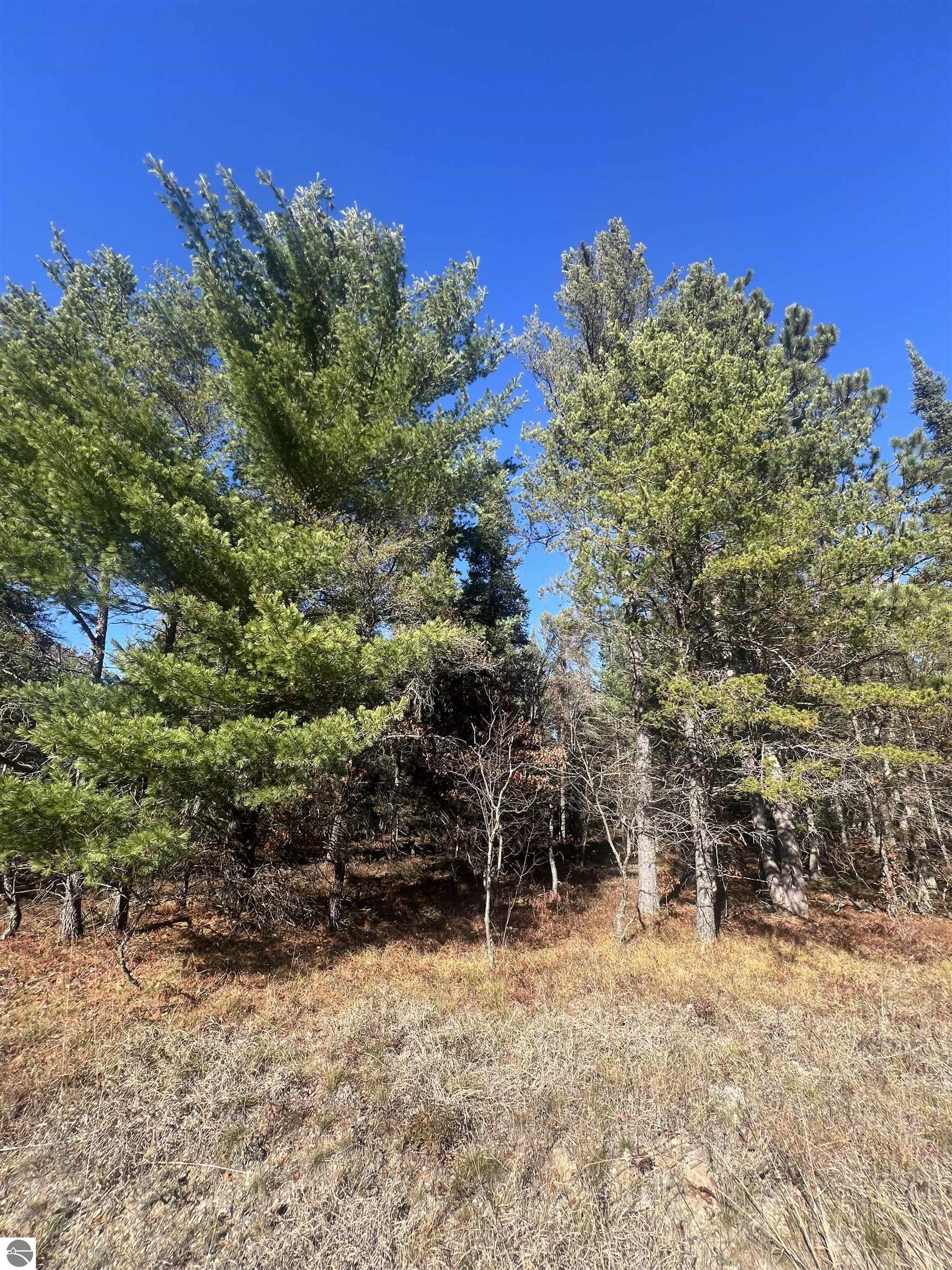 Land in Grayling 3