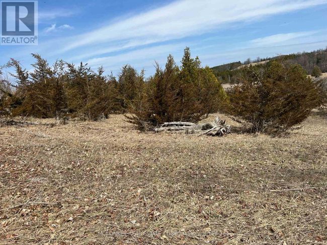 00 County Rd 13 E, Home with 0 bedrooms, 0 bathrooms and null parking in Hastings ON | Image 7